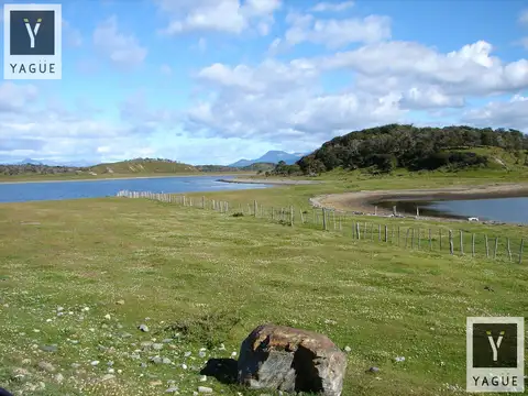 Campo - Ushuaia