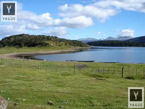 Campo - Ushuaia
