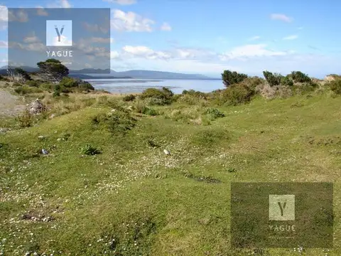 Campo - Ushuaia