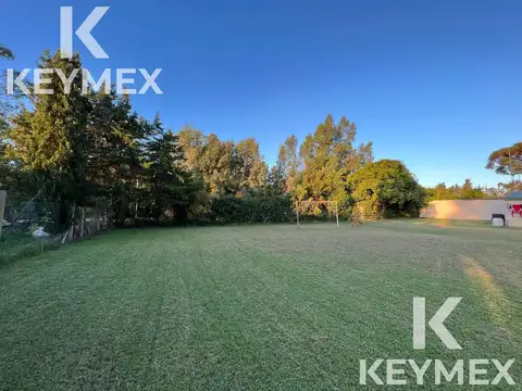 Terreno en Venta 31  mts Frente