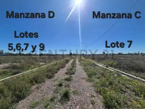 calle Paraguay S/N 100, Piso 0