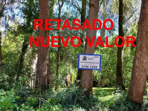 Terreno Lote  en Venta en Carapachay, Zona Delta, Tigre