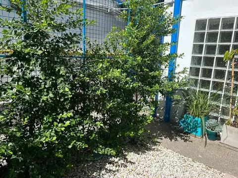 Depto Tipo Casa en Venta en Palermo, USD 105.000