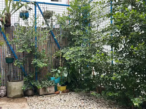 Depto Tipo Casa 2 ambientes con 1 baño