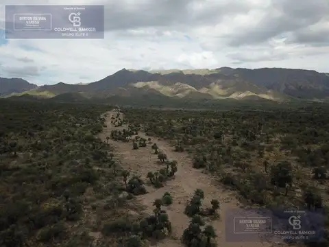 VENTA TERRENO COMERCIAL PARA LOTEO ESTANCIAS SERRANAS PAPAGAYOS SAN LUIS