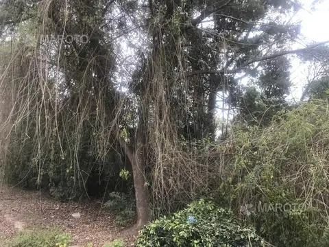 LOTE EN MASCHWITZ - EL DORADO - MAROTO PROPIEDADES