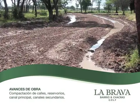 La Brava