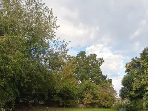 Alberdi