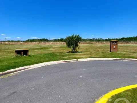 Lote Con Fondo Verde En Área 8 Barrio San Sebastián