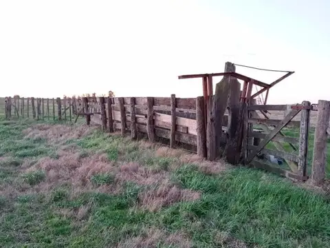 ATENCIÓN  EXCELENTE CAMPO MIXTO DE 67 HAS EN RIVAS PROVINCIA DE BUENOS AIRES