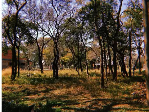 Terreno en Venta en Colonia Benitez, 1 de Mayo