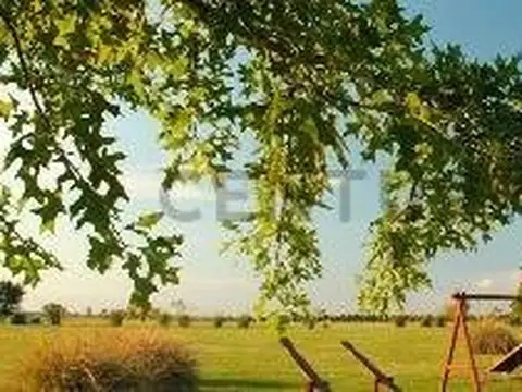 Terreno en Venta 20  mts Fondo