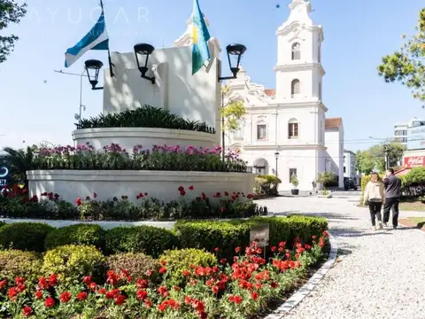 Venta - Inversión LOTE / VIVIENDA / LOCAL - Pilar Centro