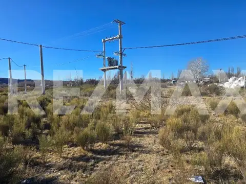 LOTE DE 300MTS. AMEDEA PLOTTIER