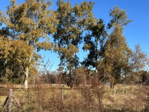Terreno en Venta de 8000,0 m2