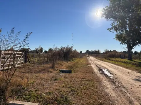 ruta 192 100