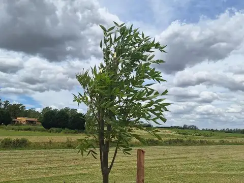 Terreno en Venta de 16000,0 m2