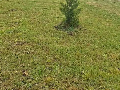Terreno en Venta en Quebradas, USD 49.000