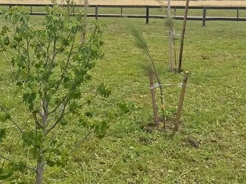 Terreno en Venta en Quebradas, USD 49.000