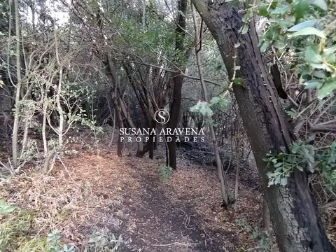 VENDE TERRENO EN RUCA HUE 100