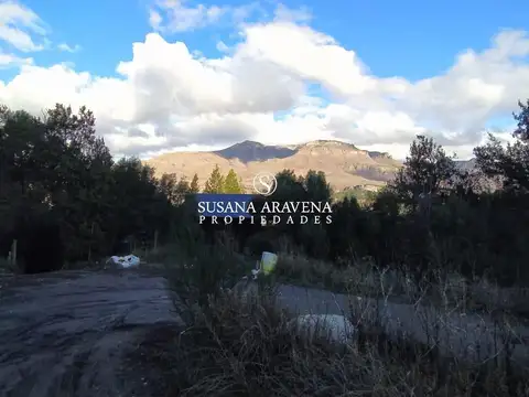 Lote en Venta en Ruca Hué, San Martin De Los Andes