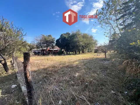 Terreno en Venta 39  mts Fondo