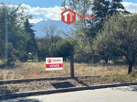 Terreno en Venta 20  mts Frente