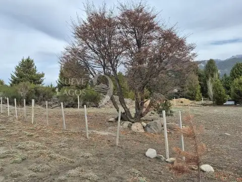 RP63, s/n, lote 12 manzana D2