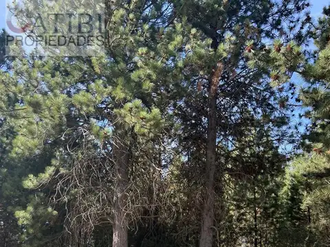 Terreno en Venta en San Carlos de Bariloche, USD 60.000