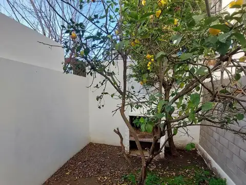 Emprendimiento - Entrega Enero 0001