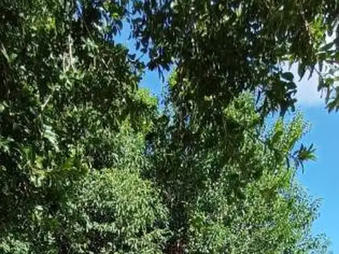 Casa 8 ambientes con 2 baños