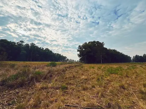 RUTA PROVINCIAL 6 Y RUTA 215