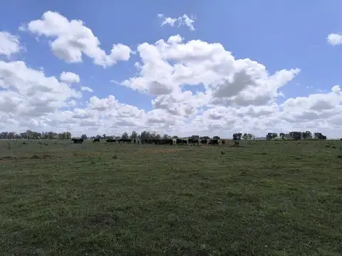 Ruta 41 y Ruta 3