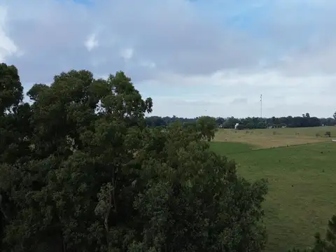 TERRENO DE 24 HECTAREAS - EN VENTA - APTO SUBDIVISION - DOBLE ACCESO POR RUTA 41 Y RUTA 3