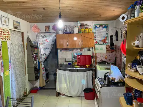 Carlos de linneo al 1300