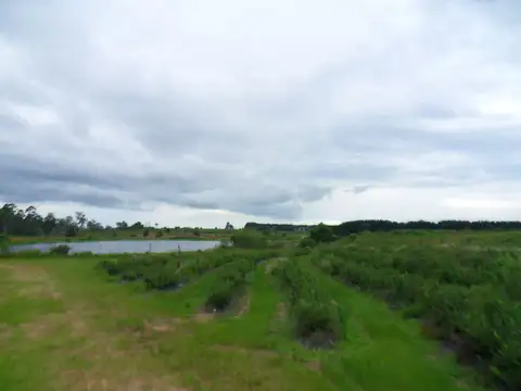 Quinta - Venta - Argentina, Concordia