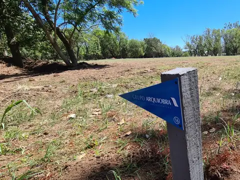 Los Cedros 500