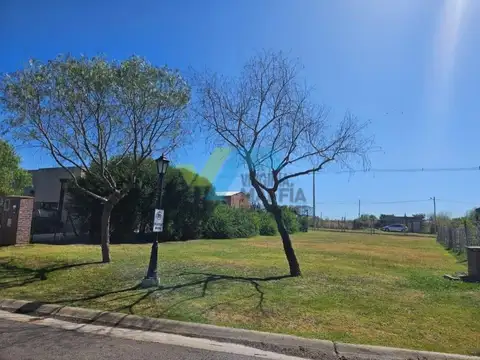 Terreno en Venta de 553,0 m2