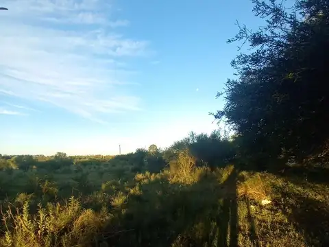 A 10" Vendo Chacra 1 Hectarea