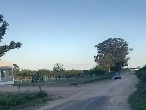 Terreno en Venta de 10000,0 m2