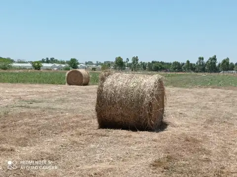 CASA/ QUINTA /CAMPO 7 HAS VENTA