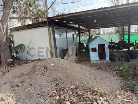 Finca en Venta, Rodeo del Medio, Maipú, Mendoza