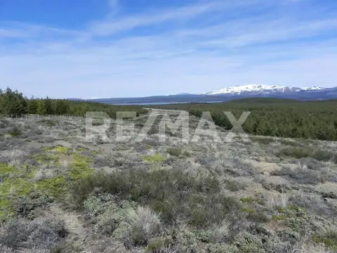 Terreno en Venta en Villa Pehuenia, USD 250.000