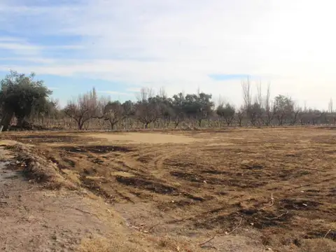 Almirante brown