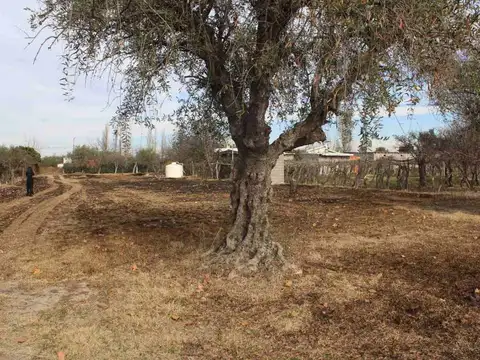 Terreno en Venta de 6291,0 m2