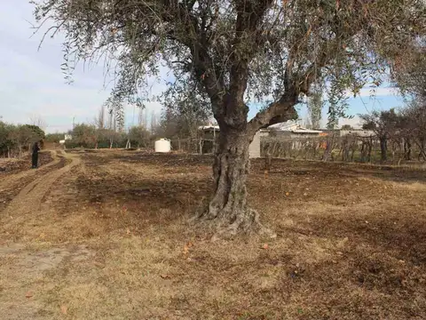 Terreno en Venta en Santa Maria de Oro, USD 45.000