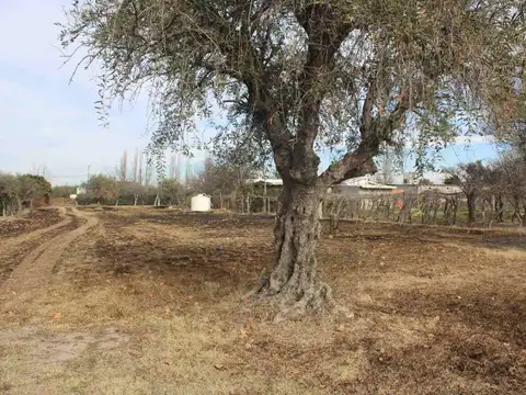 Terreno en Venta en Santa Maria de Oro, Rivadavia