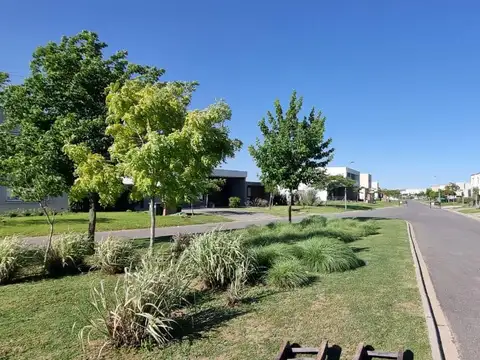 Acacias Puertos del Lago Escobar