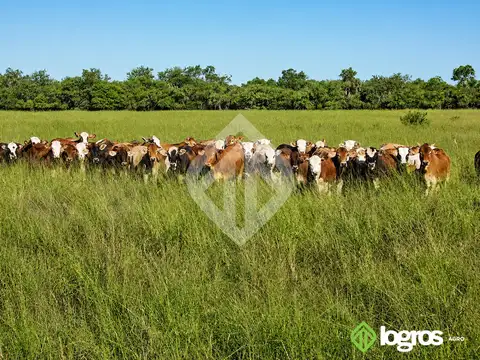 Campo en Venta en Zona Sur, Salta