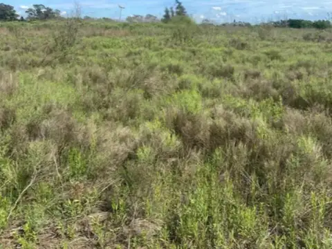 Terreno en Venta 135  mts Fondo